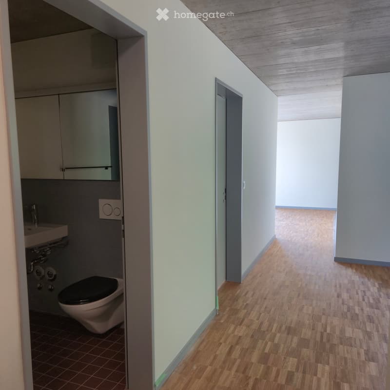 A narrow hallway with wooden flooring and light-colored walls, leading to a small bathroom with a toilet, sink, and mirrored cabinet.