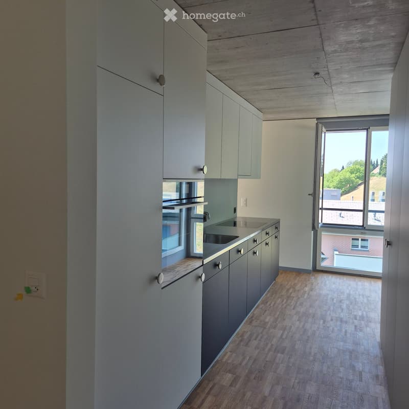 Modern kitchen with grey cabinets, a stainless steel sink, and wooden flooring. Large windows provide natural light and a view of the outdoor area.