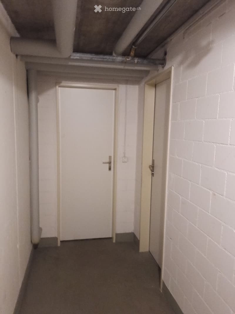 A narrow hallway with white brick walls, carpeted floor, and two white doors at the end.
