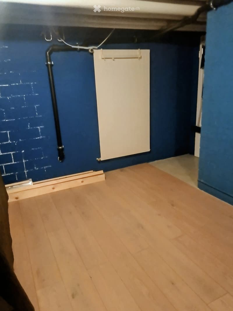 Empty room with wooden flooring and blue walls, featuring a radiator and visible pipes.