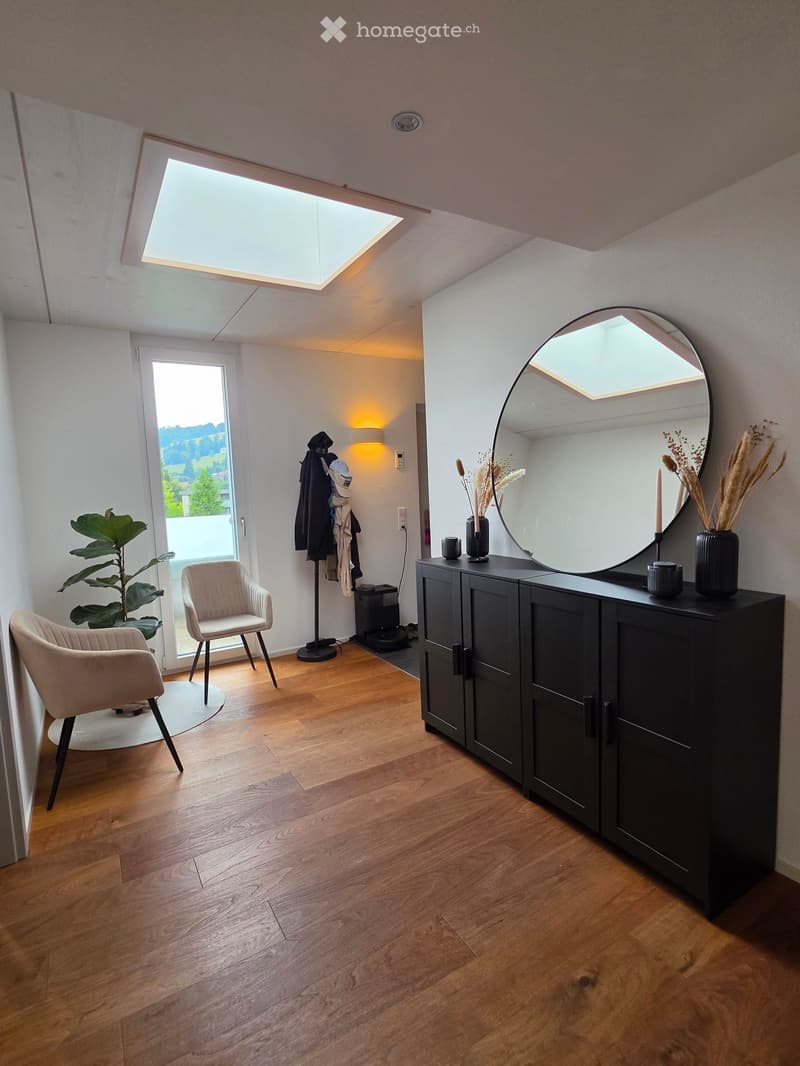 A modern, well-lit room with wooden flooring, two chairs, a dark cabinet with a mirror, decorative vases, and a plant near the window.