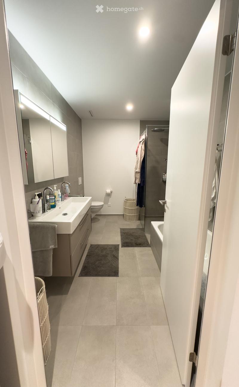 Modern bathroom with a double sink, toilet, bathtub, and shower area. Features include a large mirror, built-in cabinets, and neatly arranged towels and toiletries.