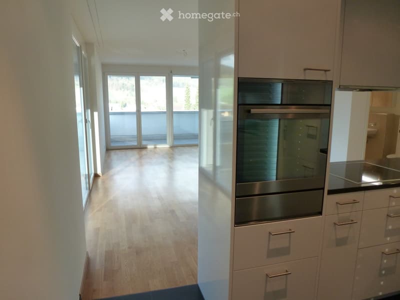 Wooden floor, double sliding doors, terrace with view, stainless steel oven, cabinets, countertop