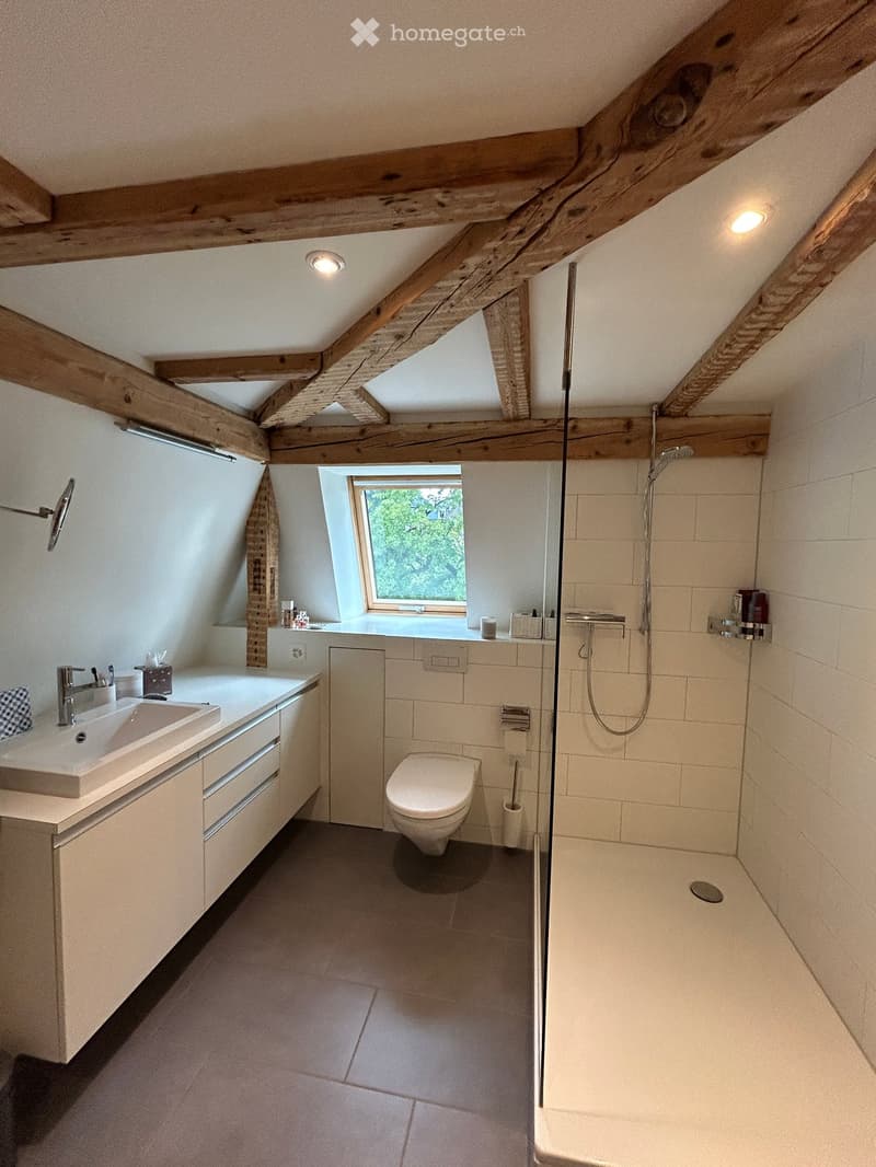 Modern bathroom with exposed wooden beams, skylight window, white tiled shower area, sink with faucet, toilet, and built-in cabinetry.
