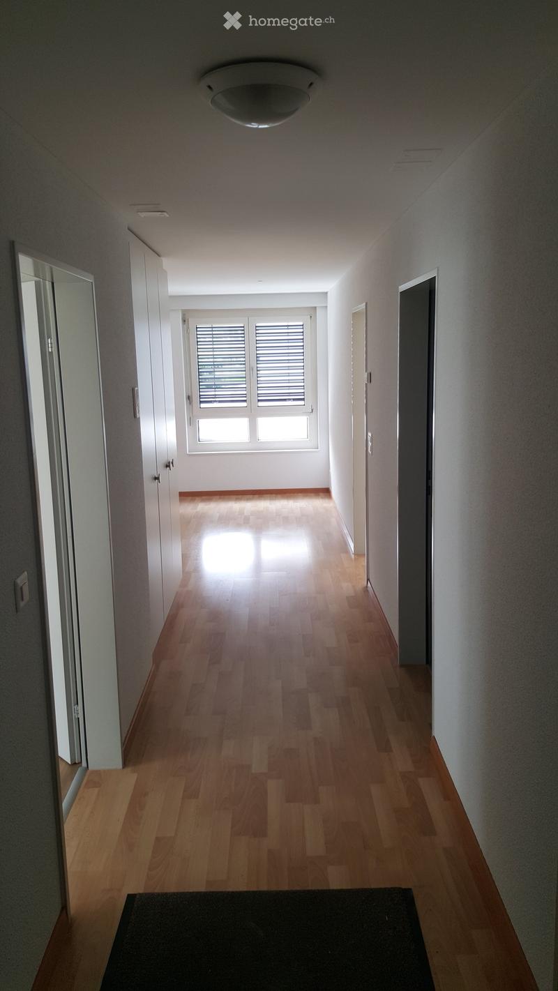 Empty hallway with wooden flooring, white walls, and a ceiling light fixture. Natural light streams in from a window at the end of the corridor.