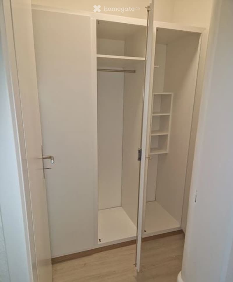 Empty closet with white walls, wooden floor, and built-in shelving units.