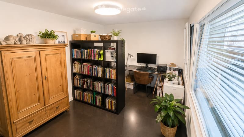 Well-lit study or home office with a large wooden cabinet, bookshelf filled with books, desk with computer and chair, and several potted plants.