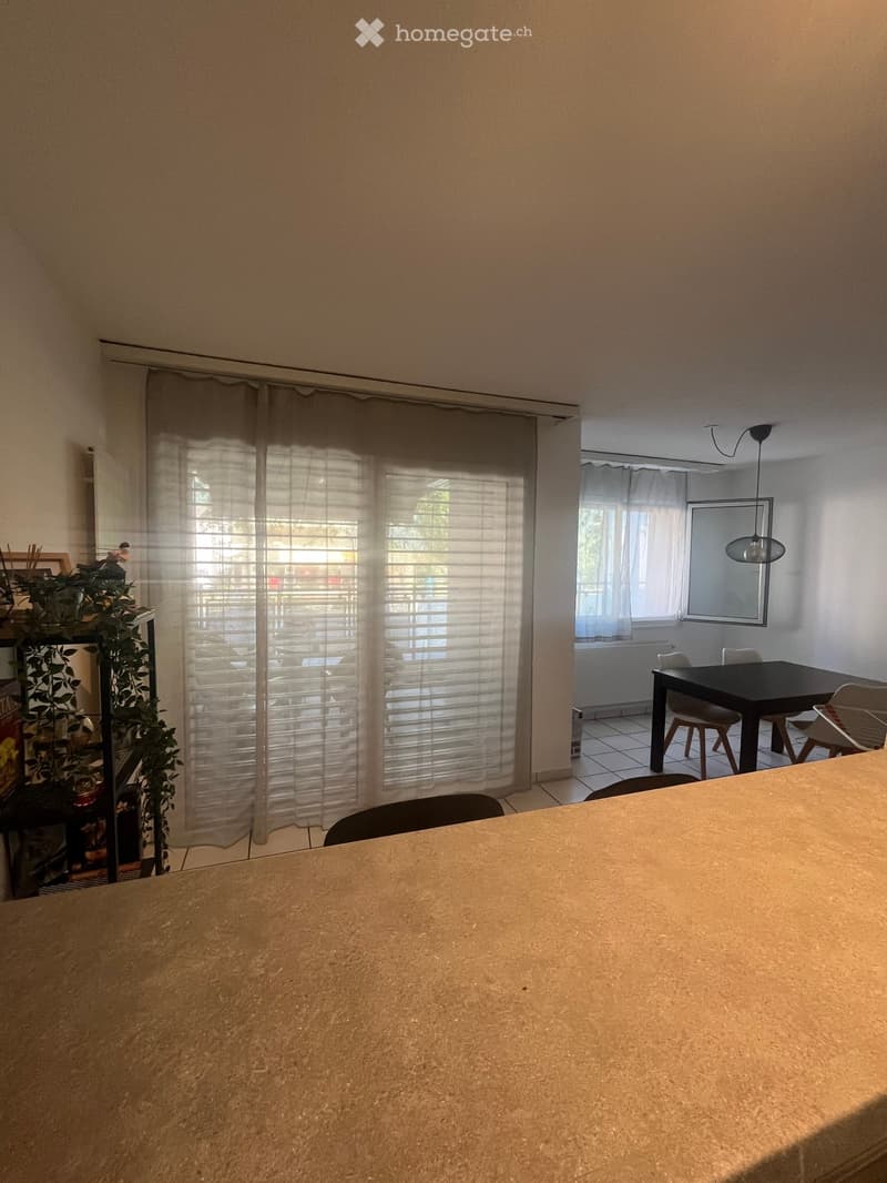 Open-plan living and dining area with large windows, a dining table with chairs, a shelf with plants, and a mirror on the wall.