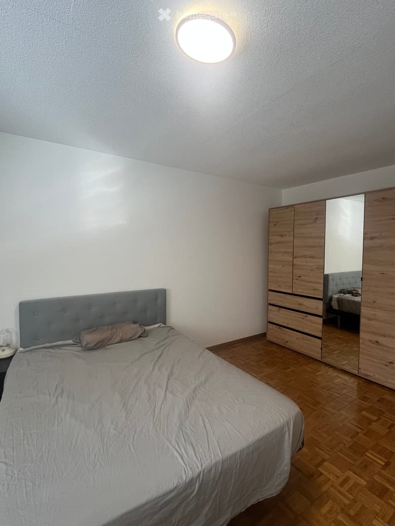 Modern bedroom with a grey upholstered headboard, wooden floor, large wardrobe with mirrored doors, and a nightstand with a lamp.