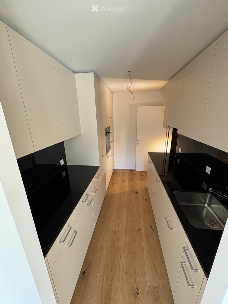 modern kitchen, white cabinets, black countertops, wooden floor, stainless steel sink, built-in oven