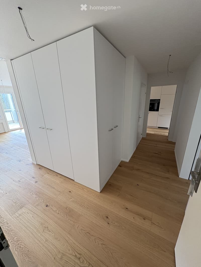 Empty room with white walls, wooden floor, large white wardrobe, and a hallway leading to another room