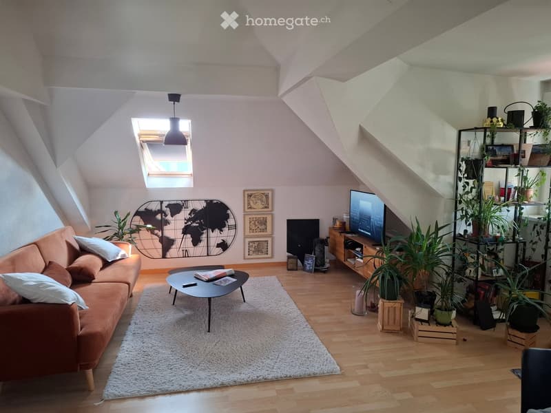 Living room with wooden flooring, a grey shag rug, a brown sofa with white and brown cushions, a black coffee table, a television on a wooden stand, a world map wall decoration, and several potted plants on shelves and wooden crates.