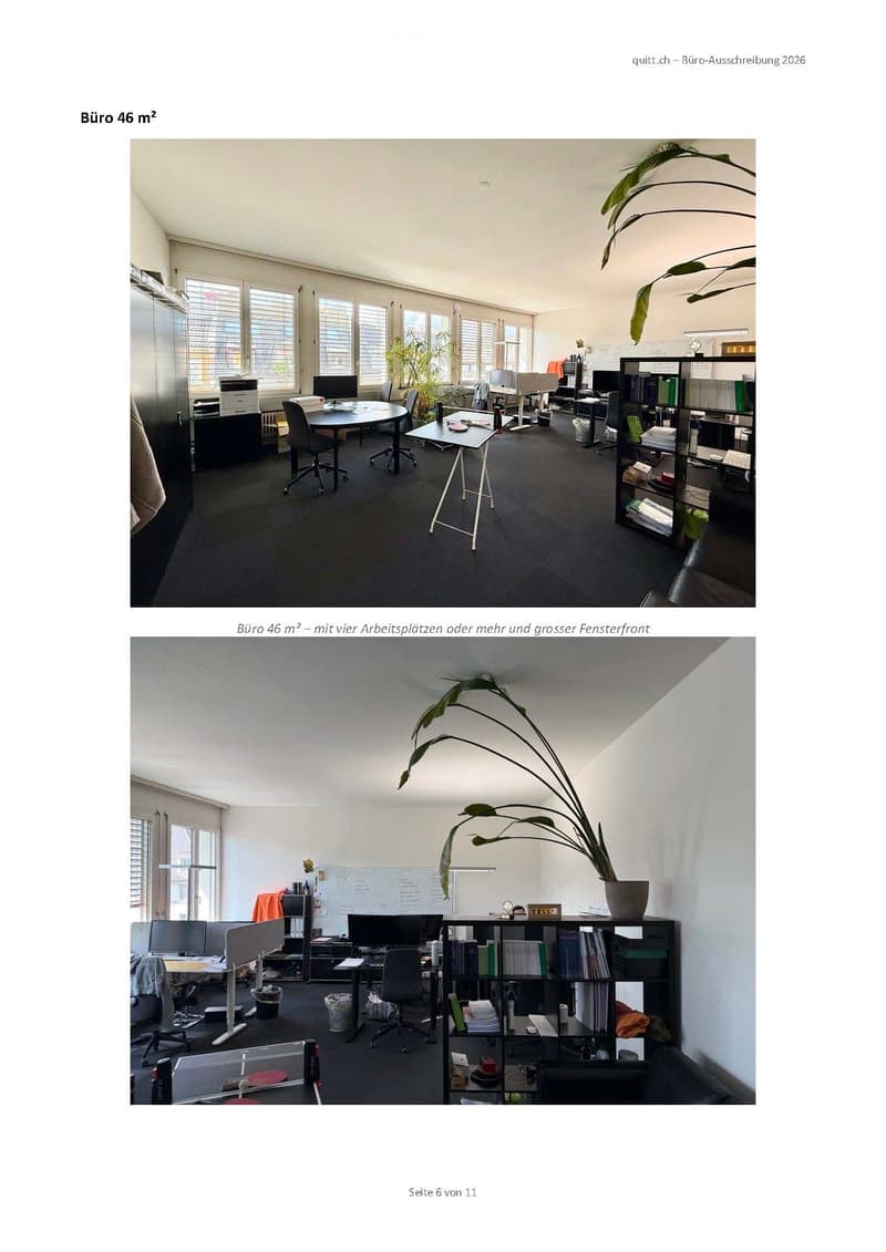 Office space with multiple workstations, chairs, tables, screens, a large plant, and shelves filled with books and office supplies.