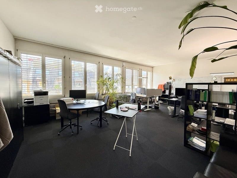 Office space with multiple desks, chairs, computer screens, a printer, and shelving units. Large windows with blinds and indoor plants are visible.