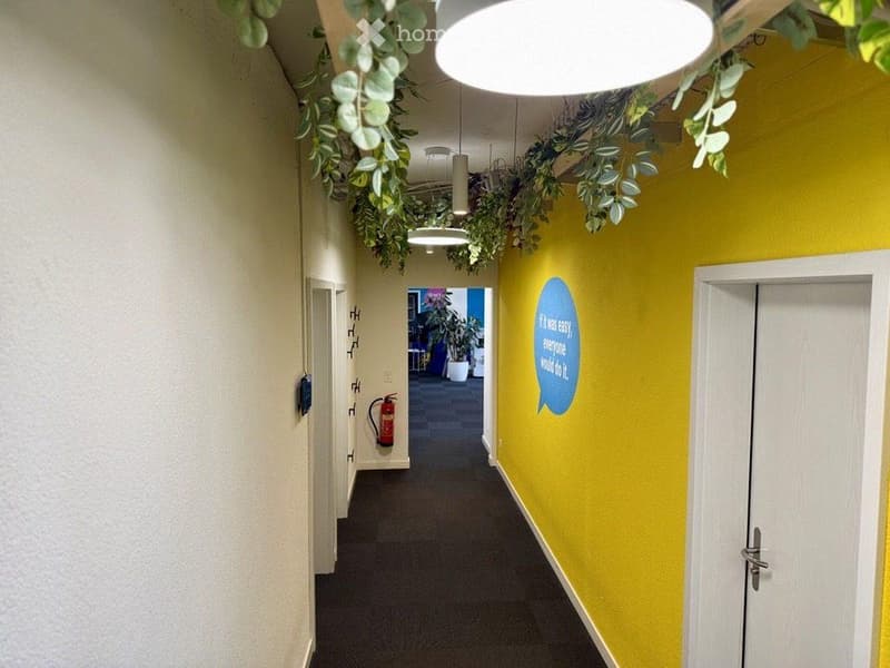 Bright hallway with yellow and white walls, hanging plants, pendant lights, and a fire extinguisher on the wall.
