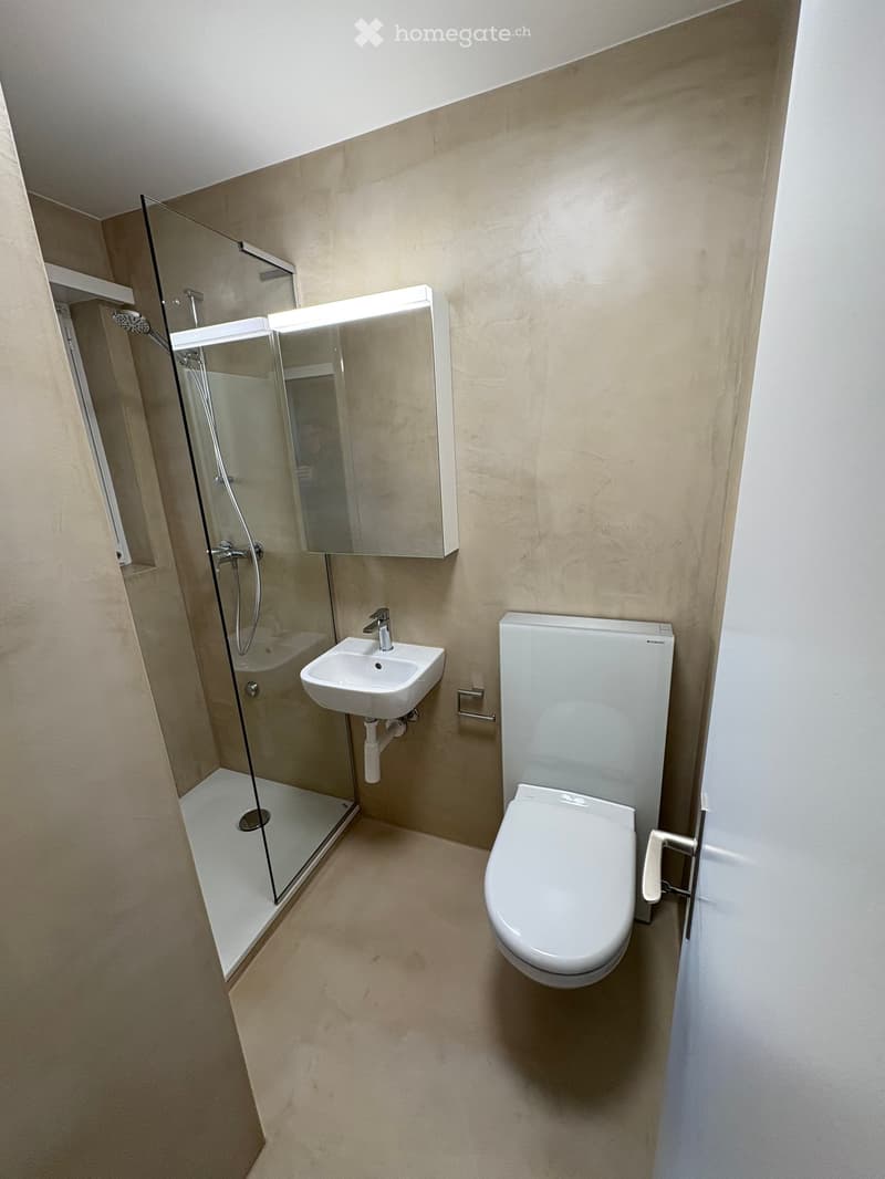 Small bathroom, glass shower enclosure, white sink, white toilet, tile flooring