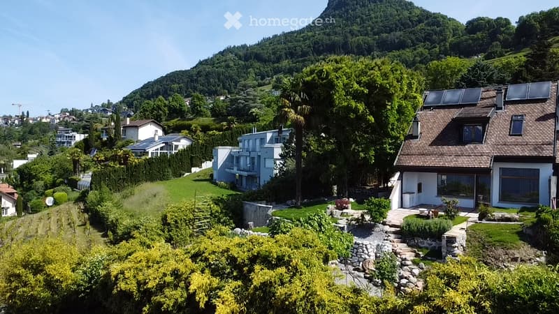 A modern house with a brown tiled roof and large windows, surrounded by a well-maintained garden and lush greenery, with a scenic mountain backdrop.