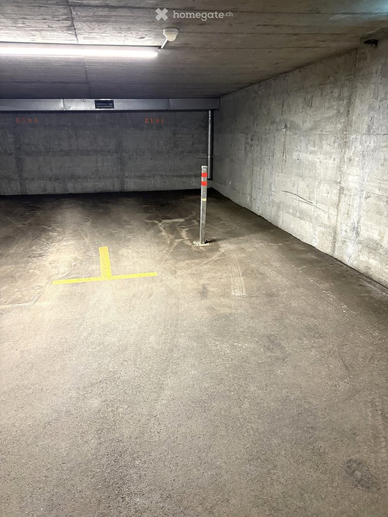 {"type": "Parking place", "objects": [], "description": "Empty underground parking space with concrete walls, floor markings, and a single parking pole.", "localized_descriptions": {"EN": "Empty underground parking space with concrete walls, floor marking