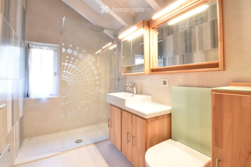 Modern bathroom with a glass-enclosed shower, a white sink with wooden cabinetry, a toilet, and a large mirror with built-in lighting.