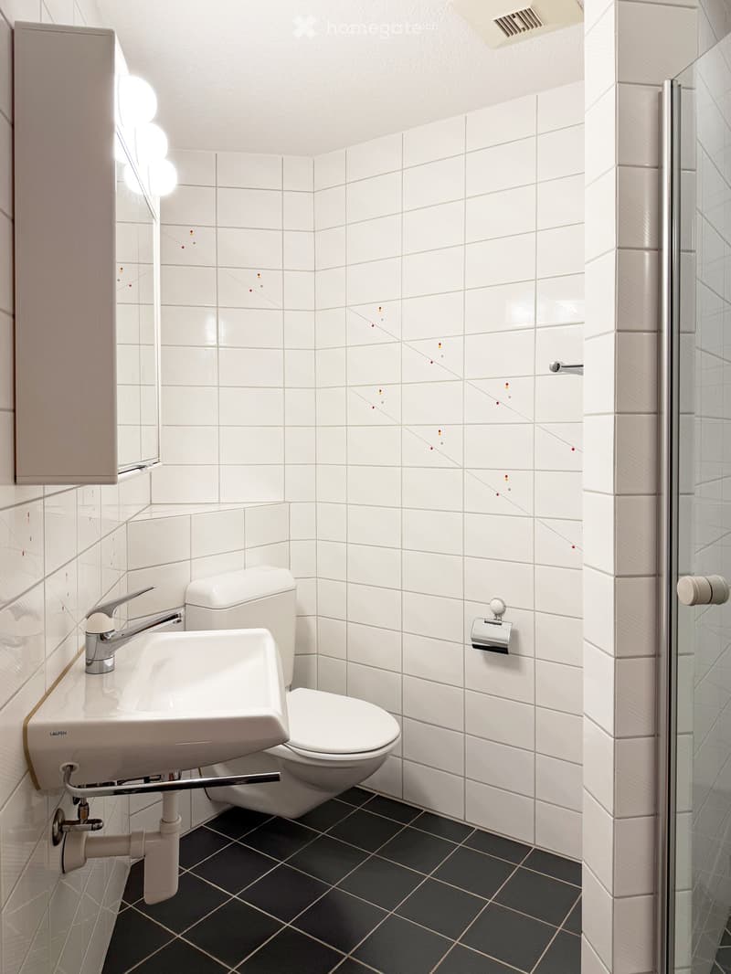 Modern bathroom with white tiled walls, dark grey tiled floor, white sink with chrome faucet, toilet, and toilet paper holder. Features a glass shower enclosure on the right side.