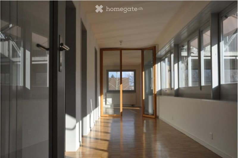 Bright hallway with wooden flooring, large windows on one side, and a glass door leading to another room.