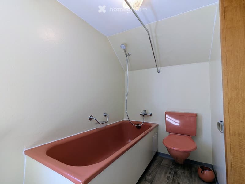 Bathroom with a pink bathtub, matching pink toilet, and a handheld showerhead attached to the wall.