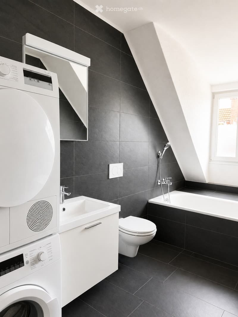 Modern bathroom with dark grey tiles, white fixtures, and a built-in washing machine and dishwasher unit. Features a sink, toilet, bathtub, and showerhead.
