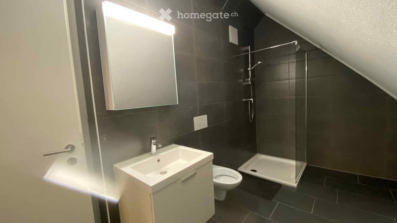 a modern and minimalist bathroom with grey tiles, a white sink, shower enclosure, toilet, and mirror
