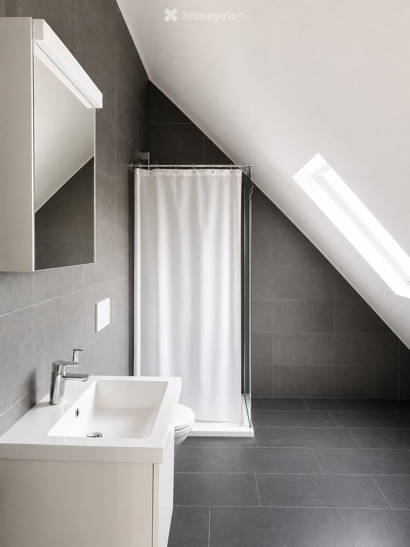 Modern bathroom with a white sink, chrome faucet, large mirror, and a glass-enclosed shower with a white curtain. Dark grey tiles on the floor and walls.