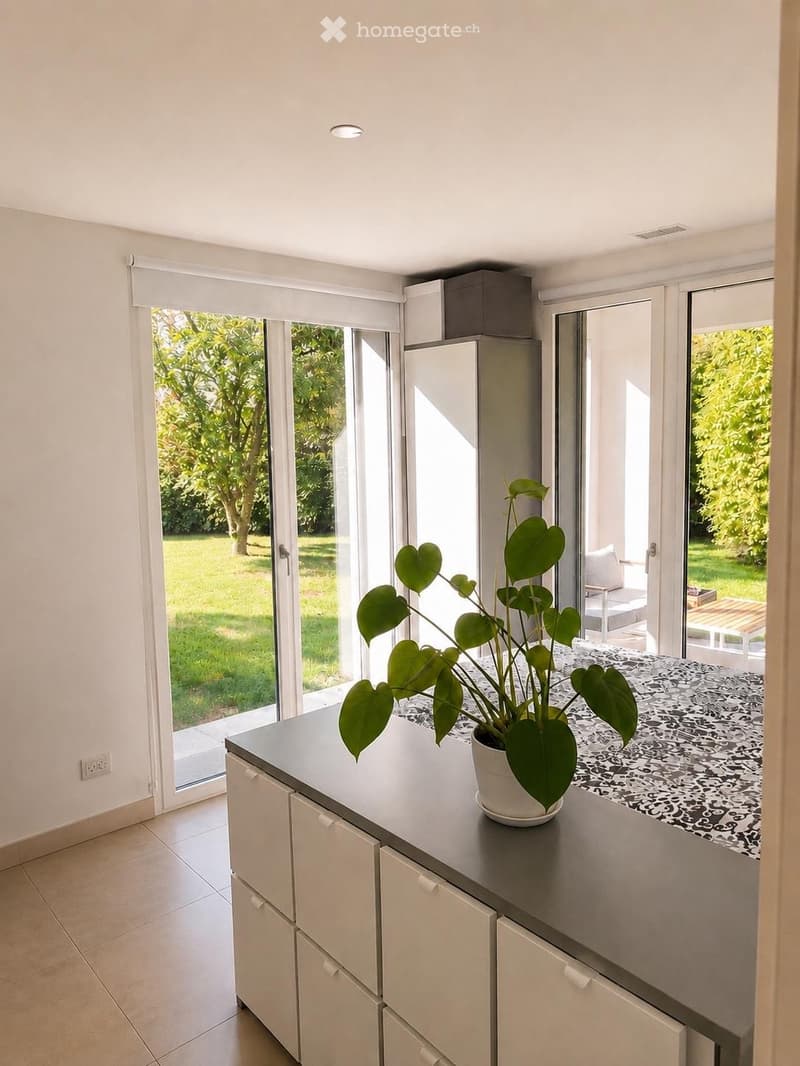Modern kitchen with white cabinets, grey countertop, and a large potted plant on the counter. Large sliding glass doors open to a green outdoor area.
