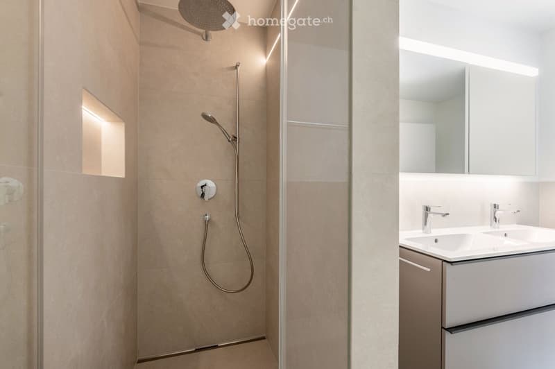 Modern bathroom with a shower area, a double sink, and a mirror.