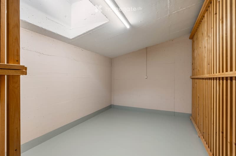Empty room with white walls, gray floor, wooden partition, and a ceiling light.