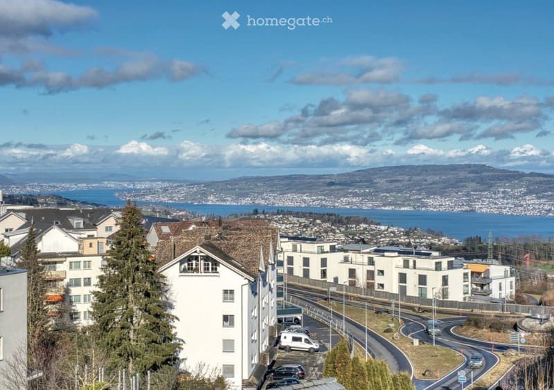 Aerial view of a residential area with buildings, a road, and a scenic view of a lake and mountains.