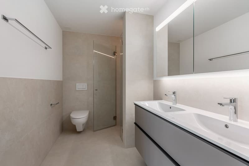 Modern bathroom with a glass shower, white toilet, double sinks, and a large mirror.