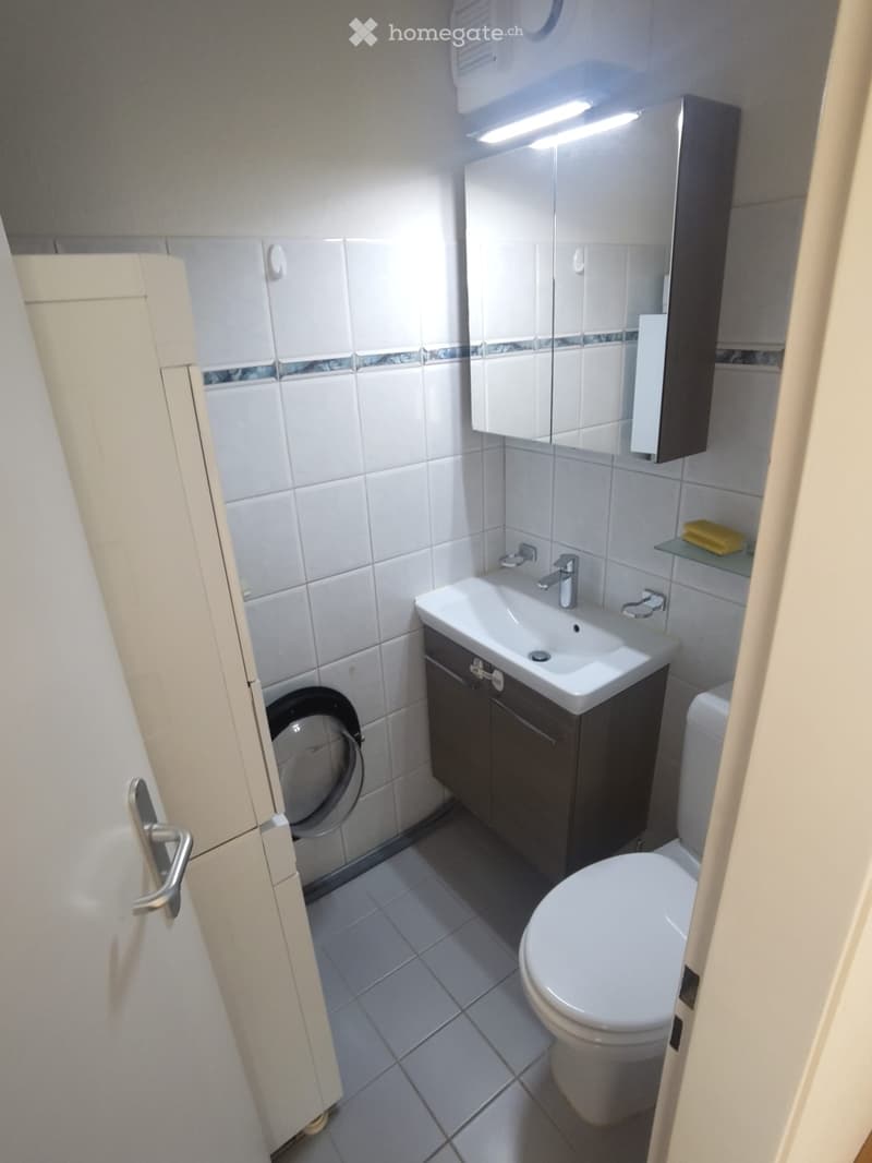 Modern bathroom with white tiles, a sink with a mirror cabinet, a toilet, and a washing machine in the corner.