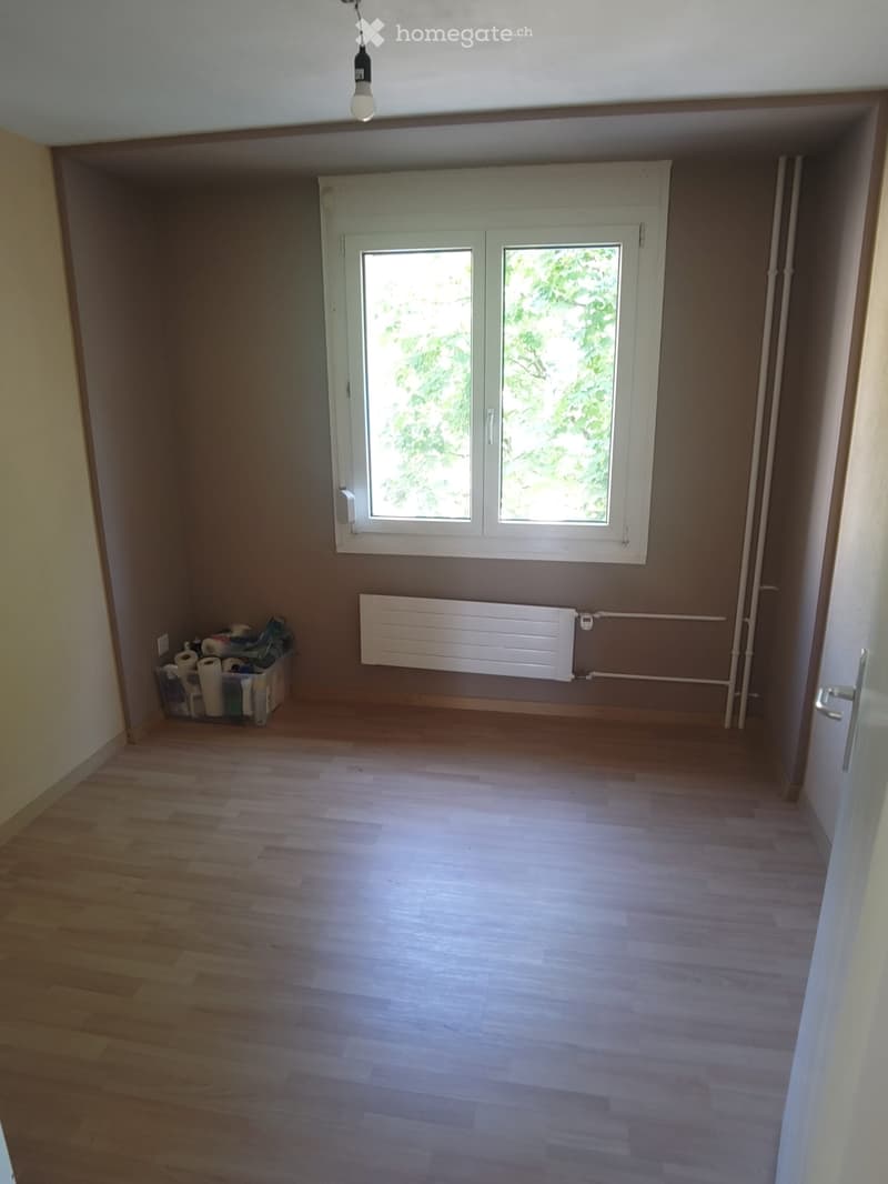 Empty room with wooden flooring, white radiator, and a window with white frame. There is a small storage area with cleaning supplies in the corner.