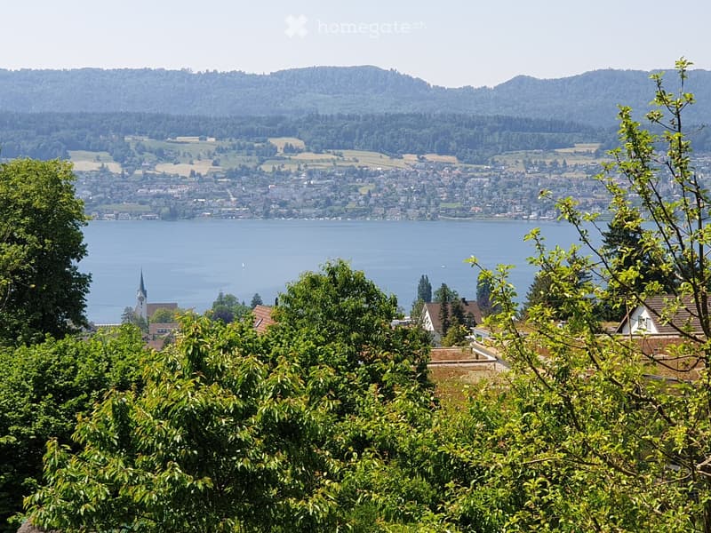 4.5 Zimmer Luxuswohnung in Herrliberg (1)