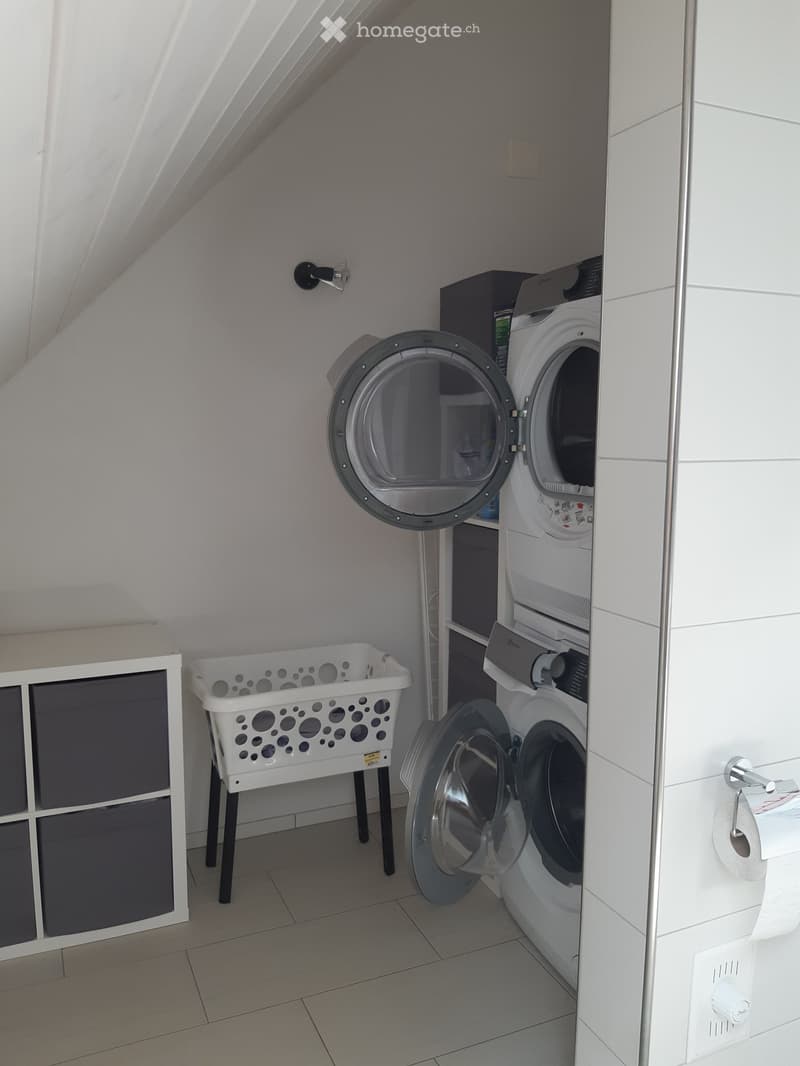 Compact laundry area with a washing machine, dishwasher, and a white laundry basket on a stand.