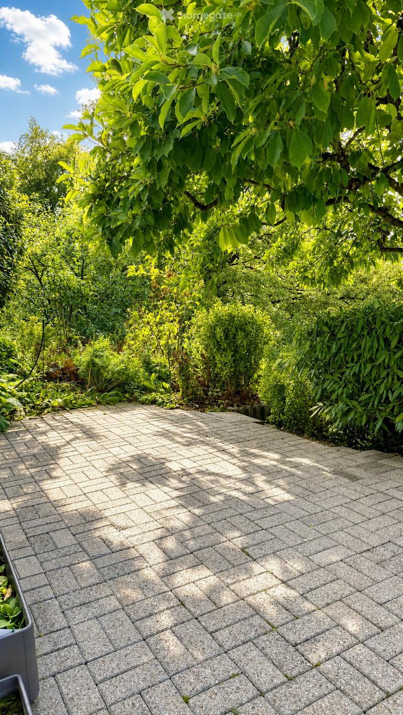 A garden area with a paved stone pathway surrounded by lush green foliage and trees, under a clear blue sky.