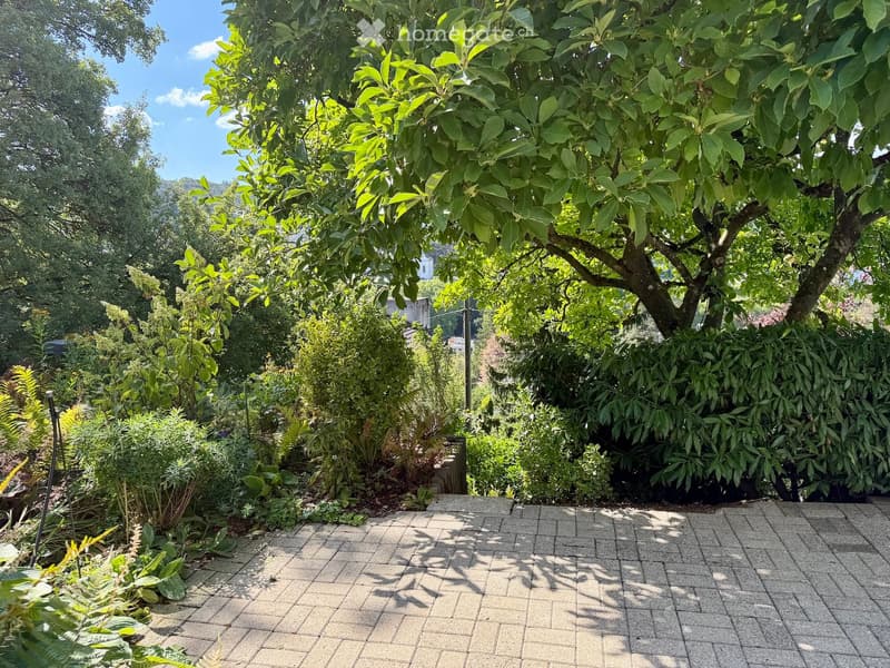 A well-maintained garden with a paved pathway, surrounded by lush greenery and trees, creating a serene outdoor space.