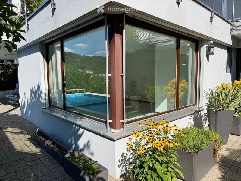 Modern house exterior with large glass windows overlooking a swimming pool, surrounded by potted plants and flowers.