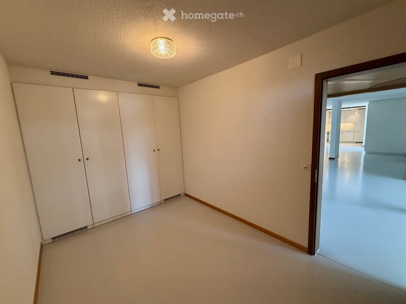 Empty hallway with white walls, beige carpet, and a large white closet on the left side. A doorway leads to another room with white cabinets and a shiny floor.