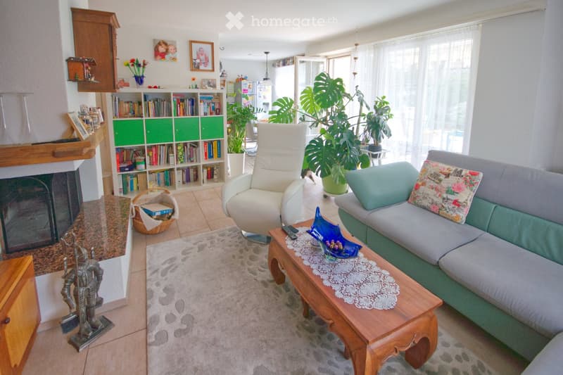 Bright living room with a grey sofa, wooden coffee table, armchair, bookshelf, fireplace, and decorative plants.