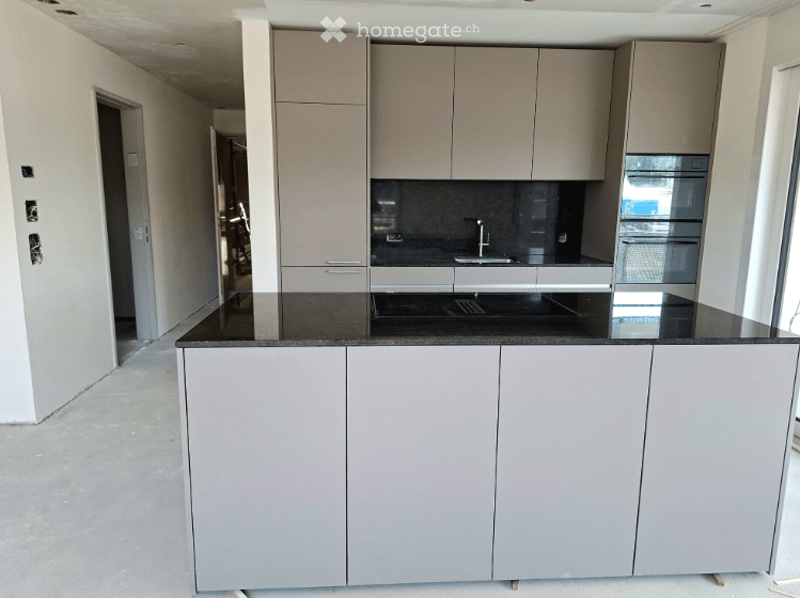 Empty kitchen with modern grey cabinets, black countertop, and stainless steel sink. No furniture or appliances present.