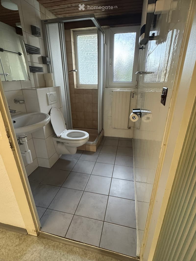 Modern bathroom with tiled floor and walls, featuring a toilet, sink, and a glass-enclosed shower area with frosted glass windows.