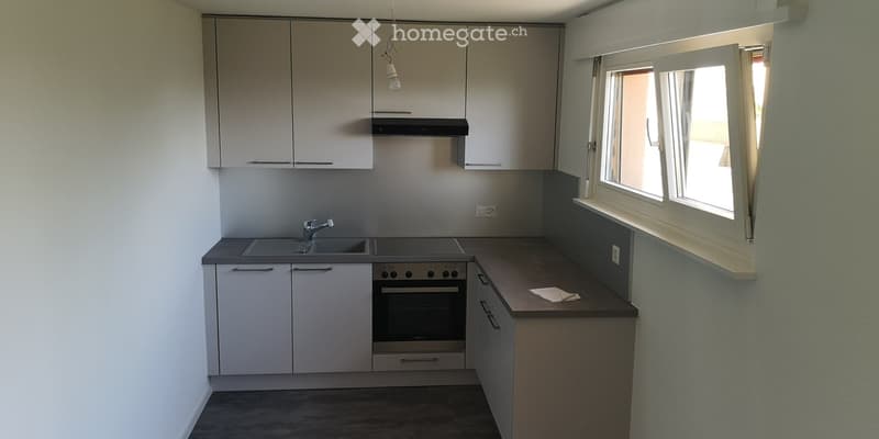 Modern kitchen with white cabinets, stainless steel sink, oven, and countertop. Natural light from a window on the right.
