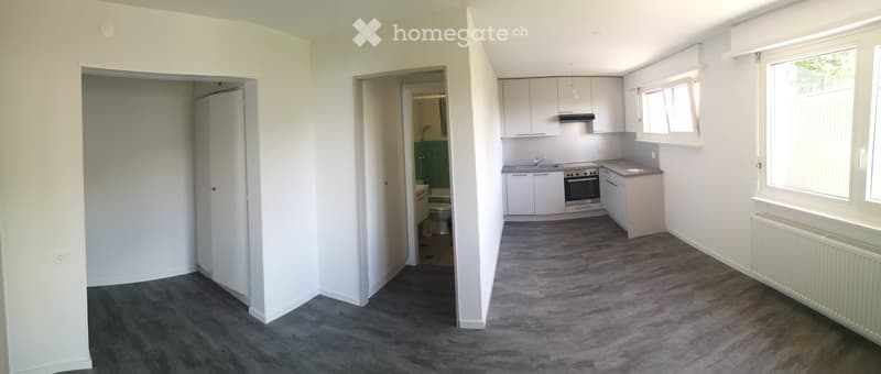 Empty apartment with white walls, grey wooden flooring, and open-plan layout featuring a kitchen area with cabinets, sink, and oven, and a visible bathroom with a toilet.