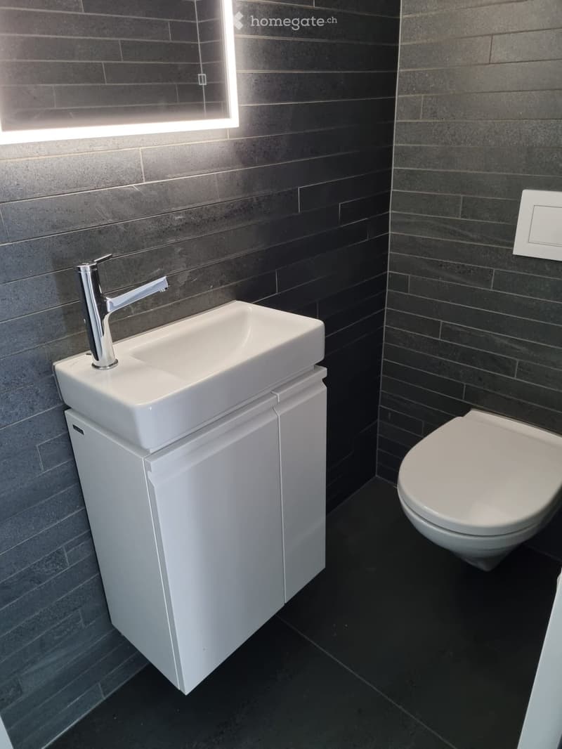 Modern bathroom with dark grey tiled walls, white sink with chrome faucet on a white cabinet, and a white toilet.