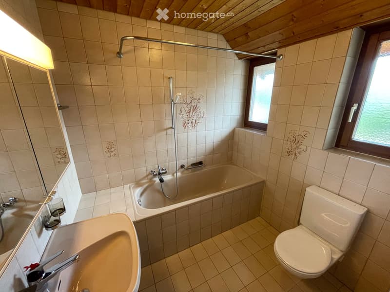 3 Wohnungen verfügbar in Uster (3.5 & 4.5 Zimmer); befristete Miete bis Ende Januar 2027 (3)