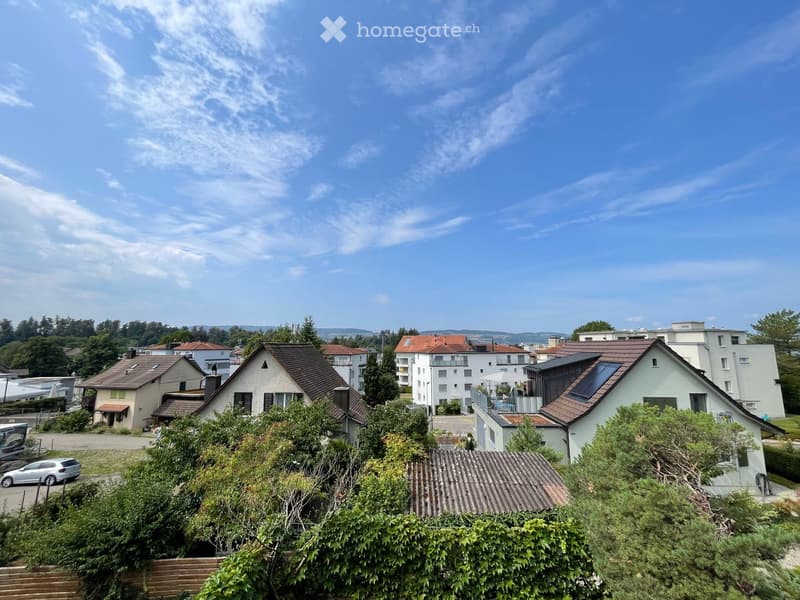 3 Wohnungen verfügbar in Uster (3.5 & 4.5 Zimmer); befristete Miete bis Ende Januar 2027 (9)